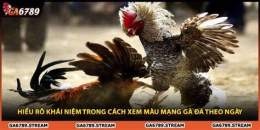 ảnh chụp màn hình xem mang ga da theo ngay