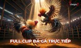 ảnh chụp màn hình xem phát lại đá gà thomo