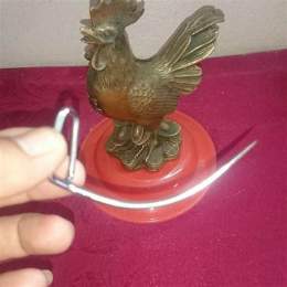 ban cua ga da tphcm