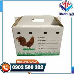 bán thùng giấy đựng gà đá
