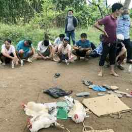 bắt đá gà ở sóc trăng