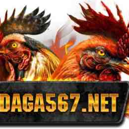 bj66 đá gà online
