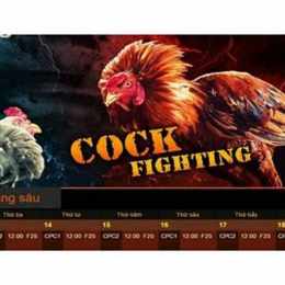 cá độ đá gà trực tuyến