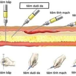 cách tiêm thuốc dưới da cho gà