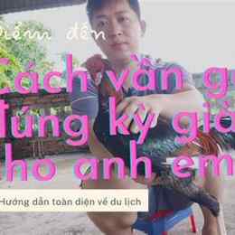 cách vần gà đá