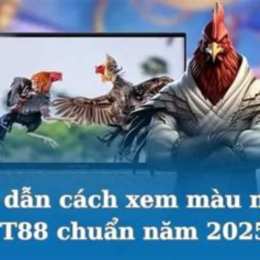 cách xem mạng gà đá