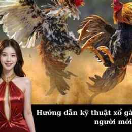 cách xổ gà đá