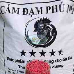 cám đỏ cho gà đá
