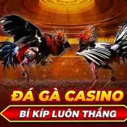 casino đá gà campuchia