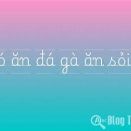 chó ăn đá gà ăn sỏi là ở đâu