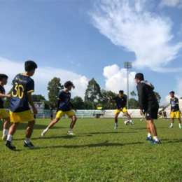 chơi bong bóng đá gà