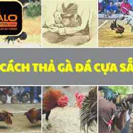 coi mau ga da cua sat