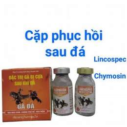 cốm phục hồi gà đá