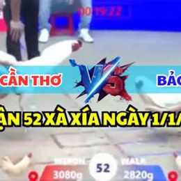 đá gà 1 chấp 2