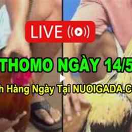 da ga 14/5/2023