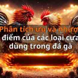đá gà 2018