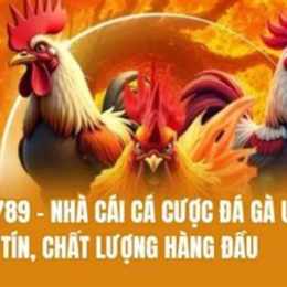 đá gà 6789 uy châu á