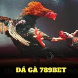 da ga 789 net