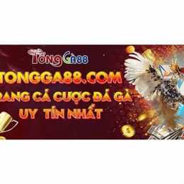đá gà 88 gà tre