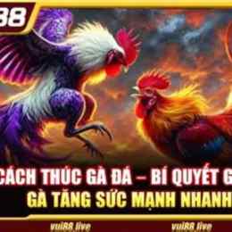 ₫đá gà 88