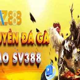đá gà 888 c3