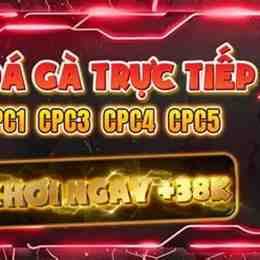 đá gà 888 trực tiếp hôm nay