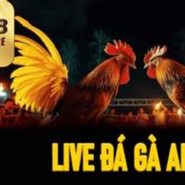 đá gà 88e.link