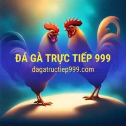 đá gà 999.net