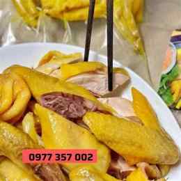 da gà bán ở đâu