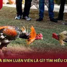 đa ga binh luận viên
