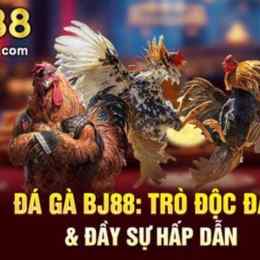 da ga bj88 com