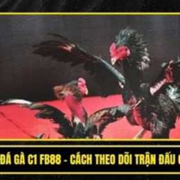 da ga c 6