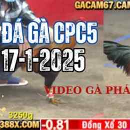 da ga c1 hom.nay