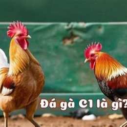 da ga c1 ngay 20 6