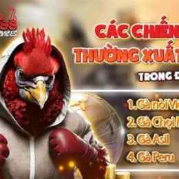 đá gà c2 30/3