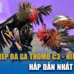 đá gà c3 19 9
