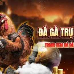 da ga c3 27/5/2024