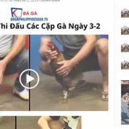 da ga cam c3