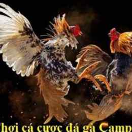 đá gà campuchia ngày 20 tháng 04