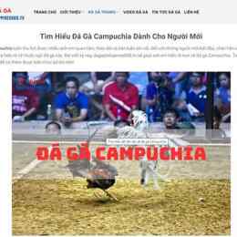 đá gà campuchia ngày 6 tháng 6