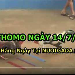 đá gà cam.tv