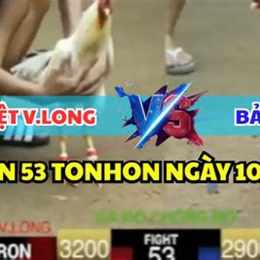 đá gà chồng độ là gì