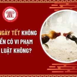 đá gà có vi phạm luật không