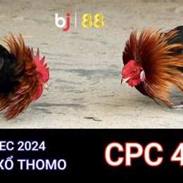 đa gà cpc 4