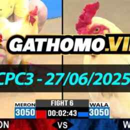 đá gà cpc3 ngày 27 6
