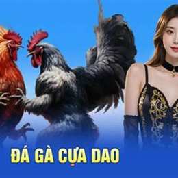 da ga cua dao io