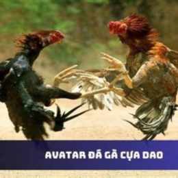 da ga cua dao pc2