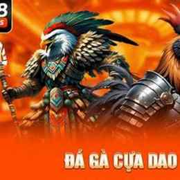 da ga cuc dinh