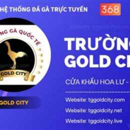 đá gà đơn gold city