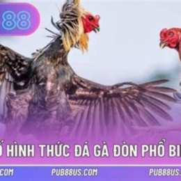da ga don moi nhat